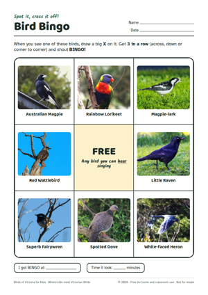 Preview of the Bird Bingo printable