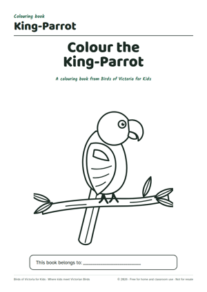 Preview of the King-Parrot Colouring Book printable